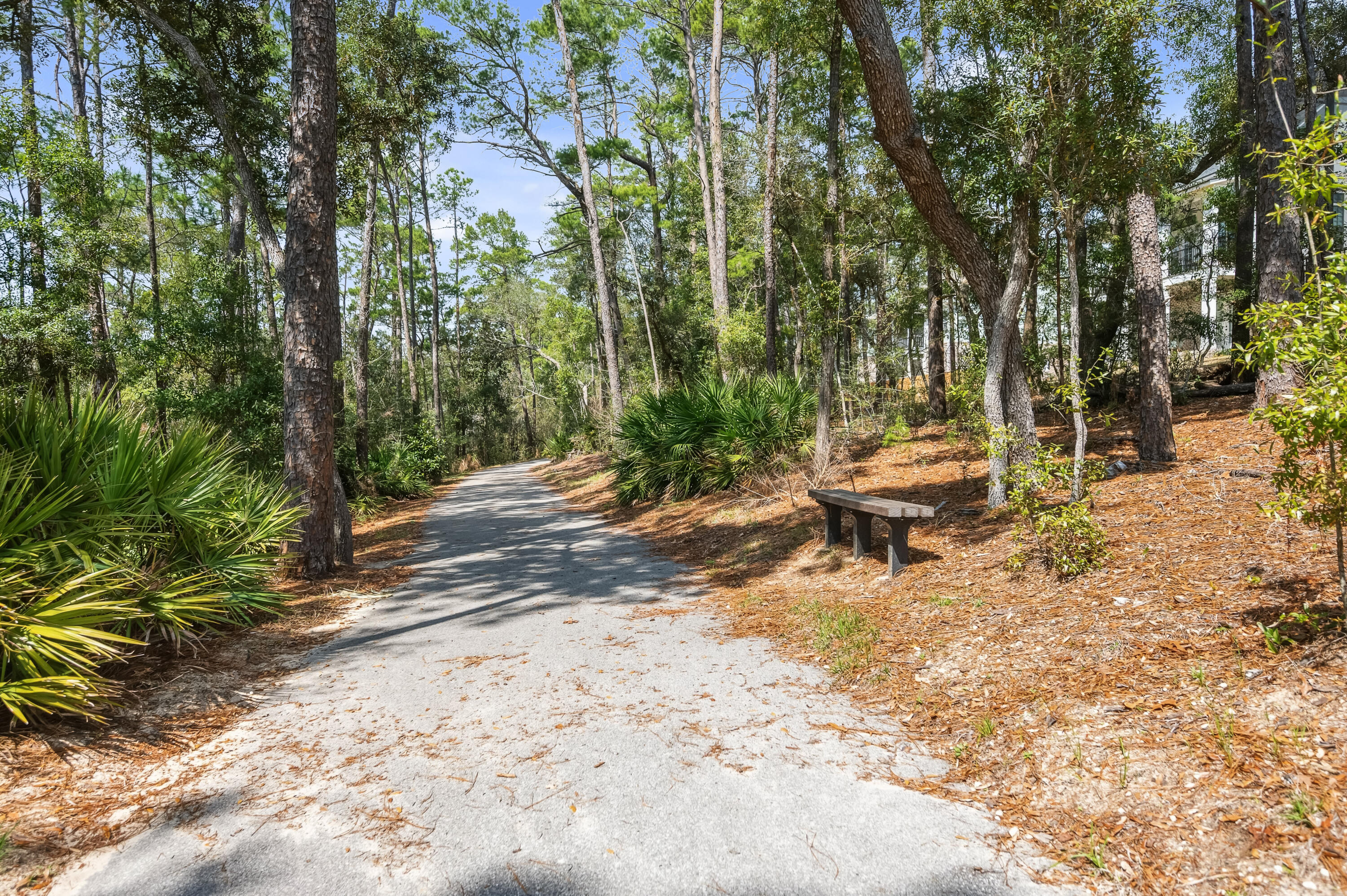 153 Caraway Drive