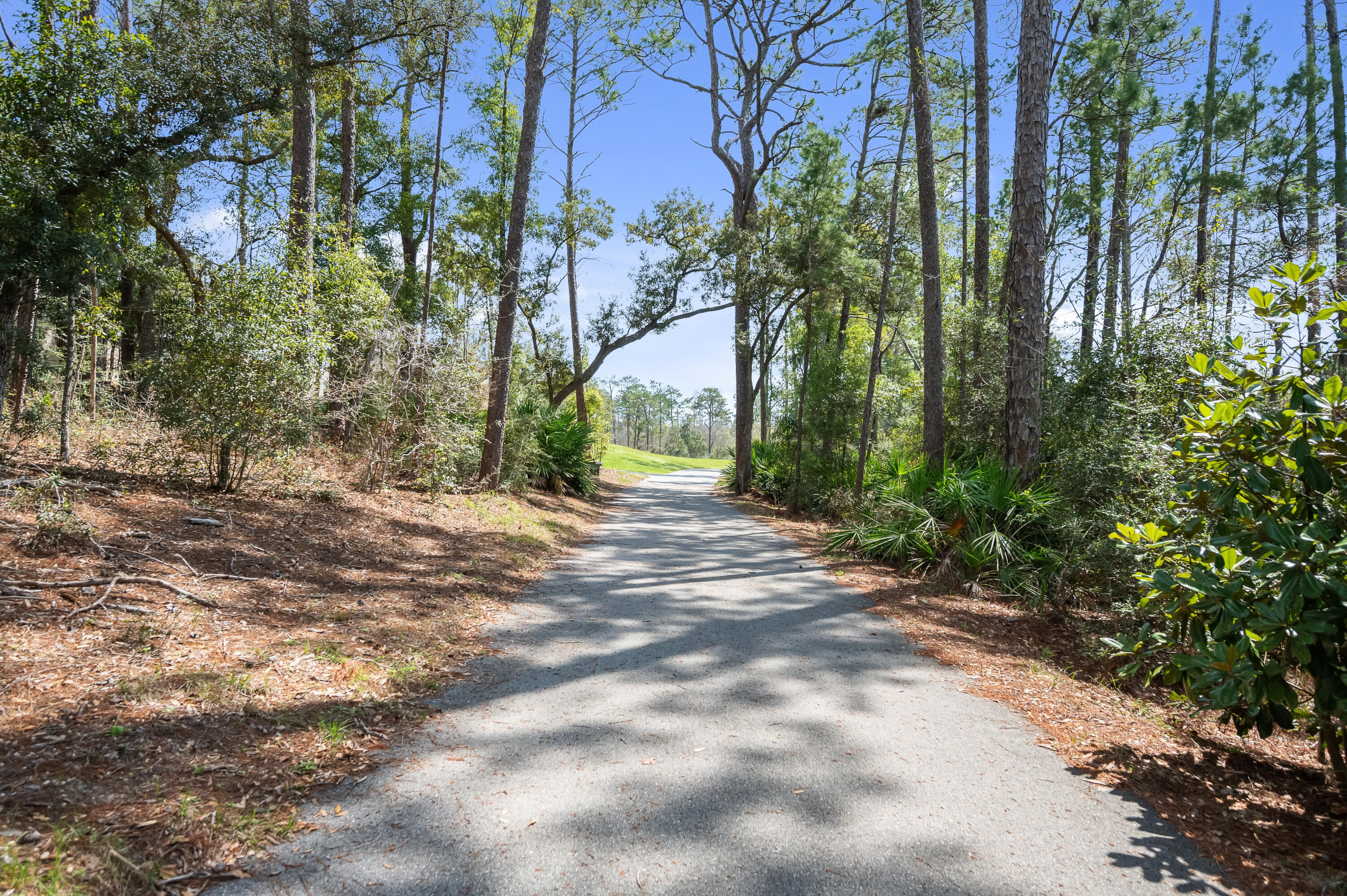 153 Caraway Drive