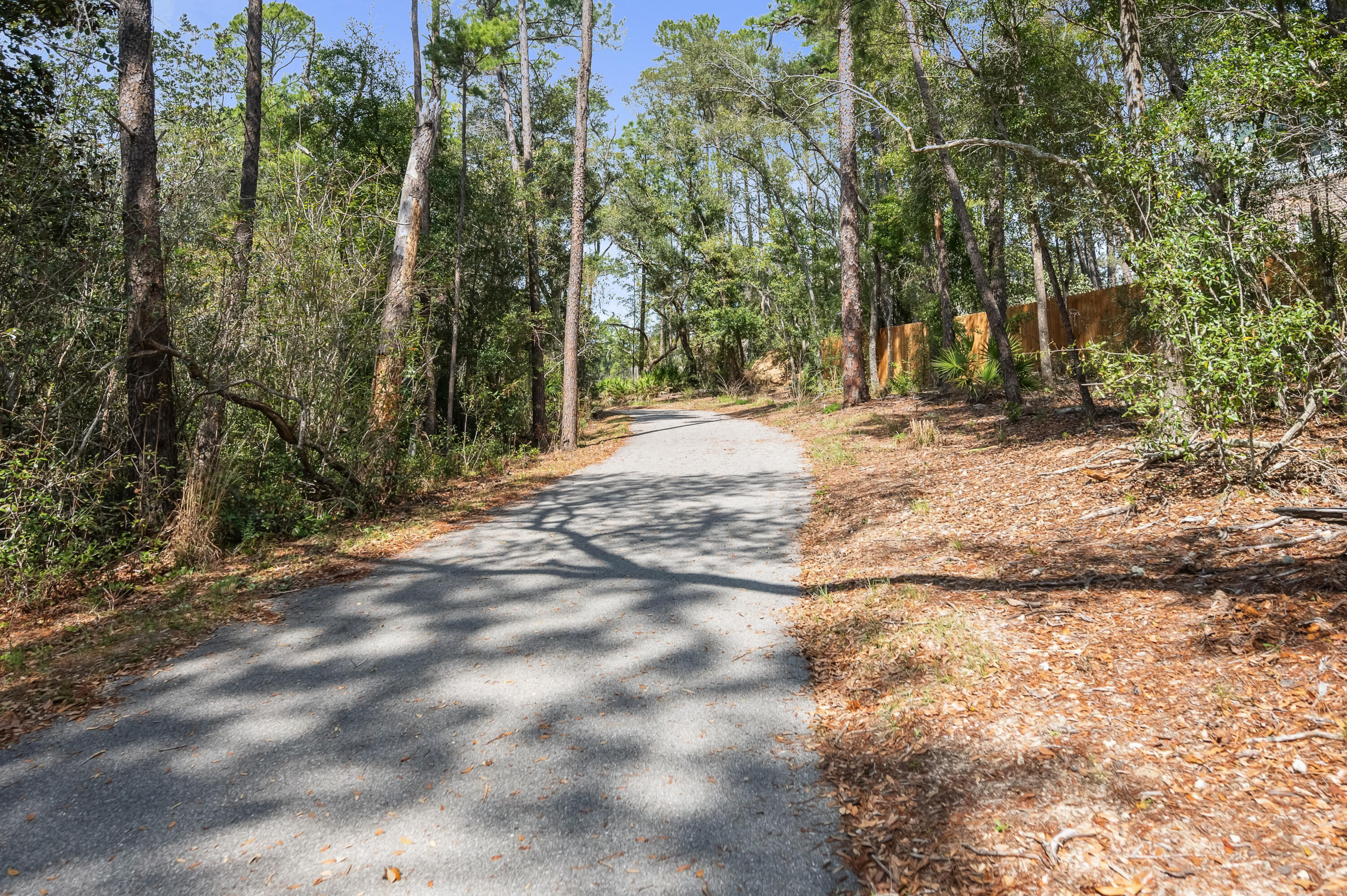 153 Caraway Drive