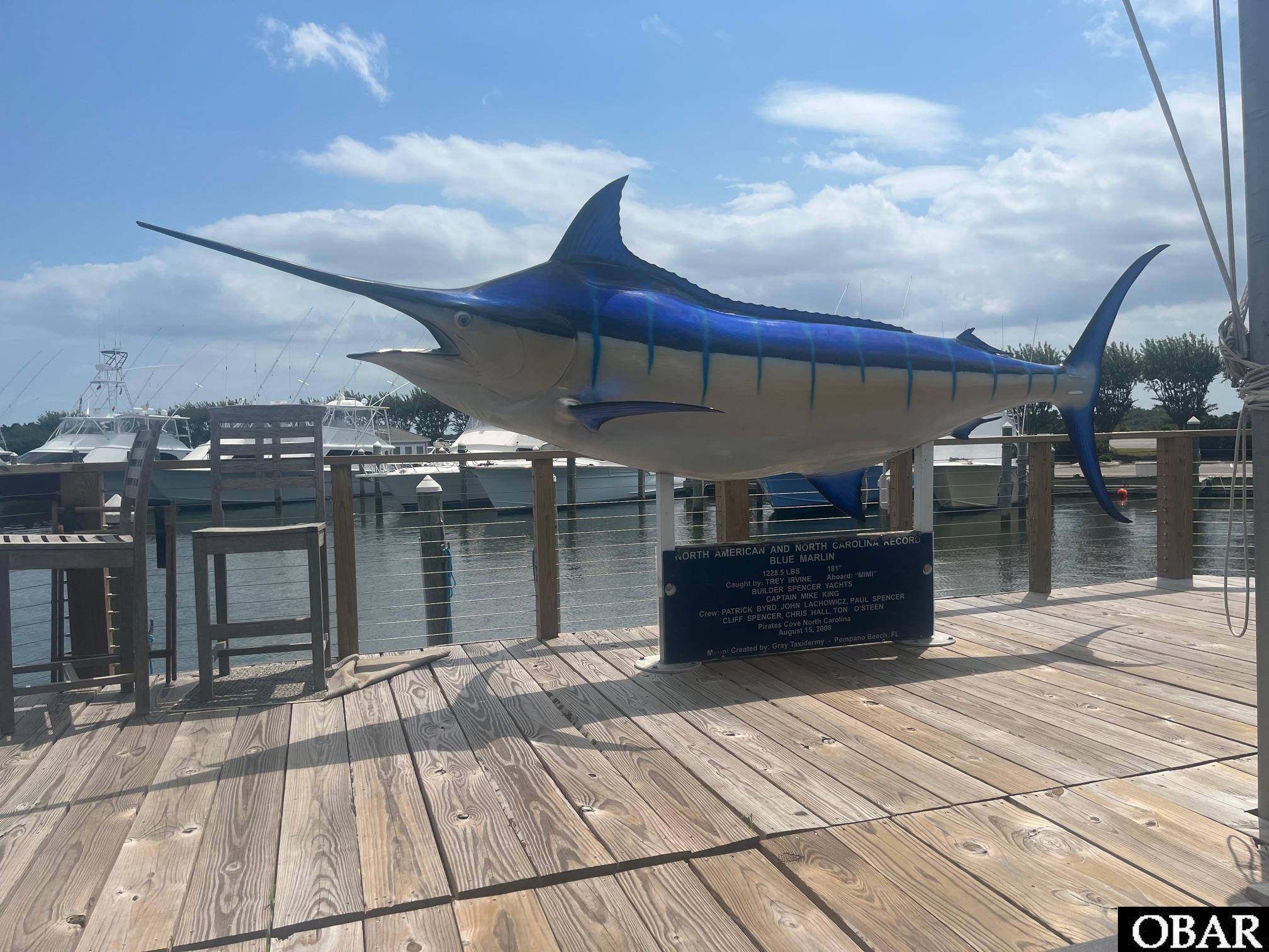 97 Yacht Club Court Slip #97