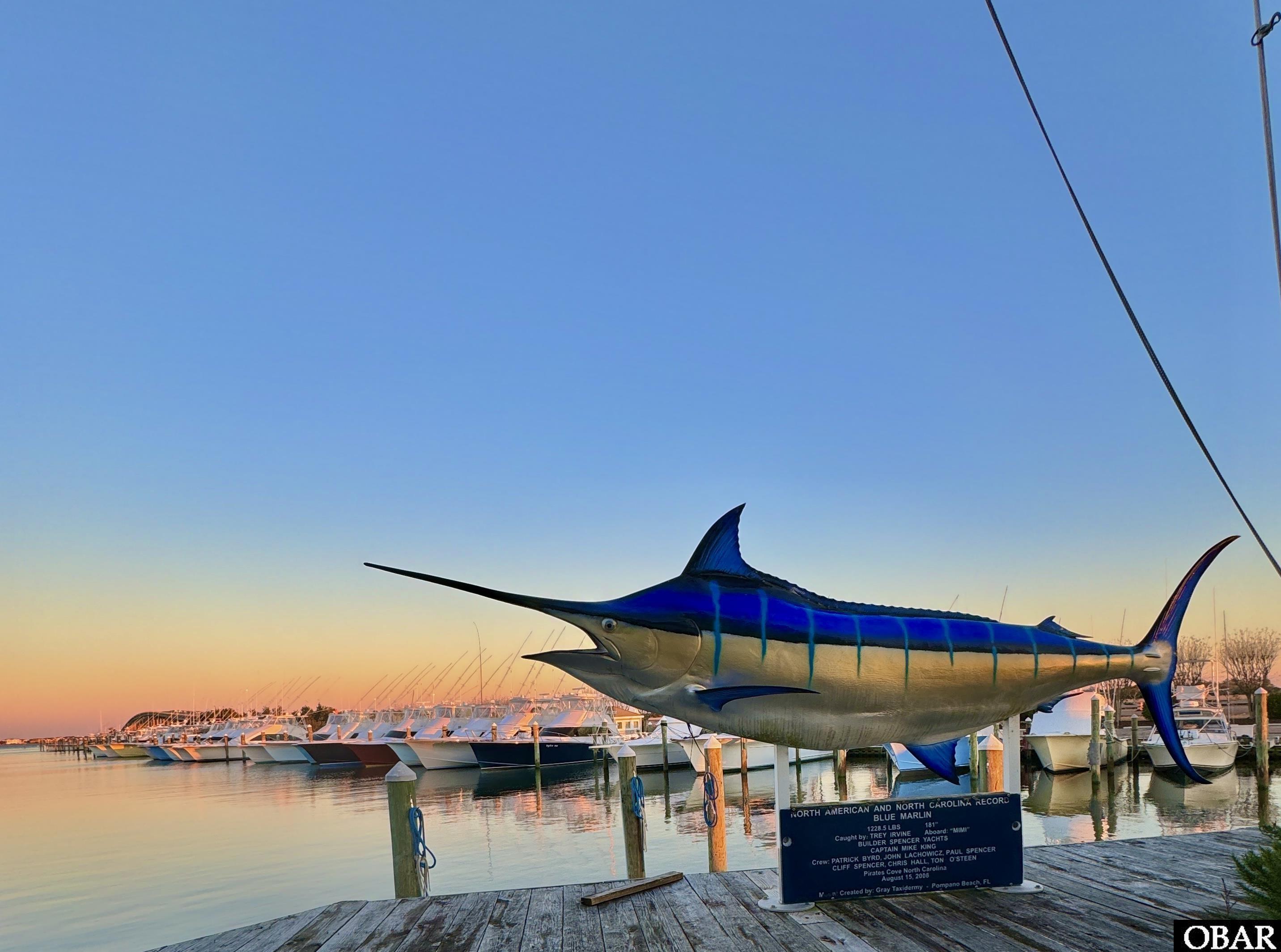 11 Sailfish Drive lot 11