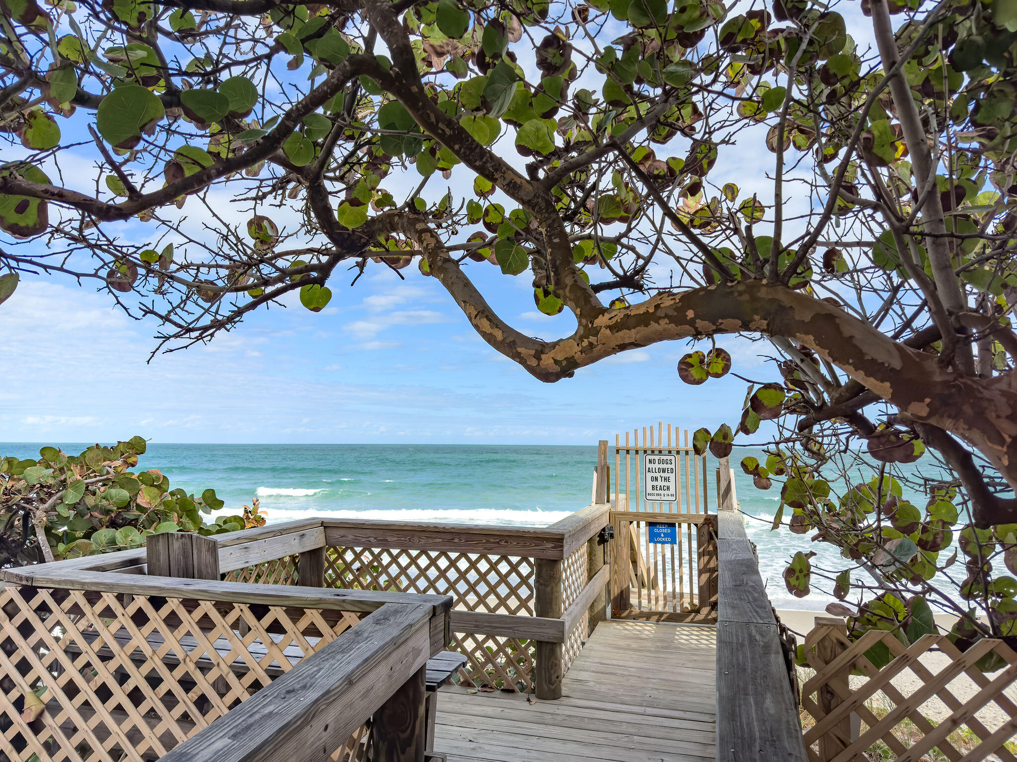 1125 Highway A1a, 501