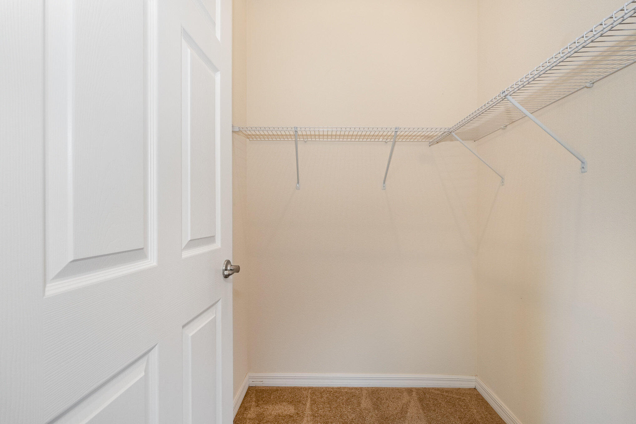 3978 Tangle Drive