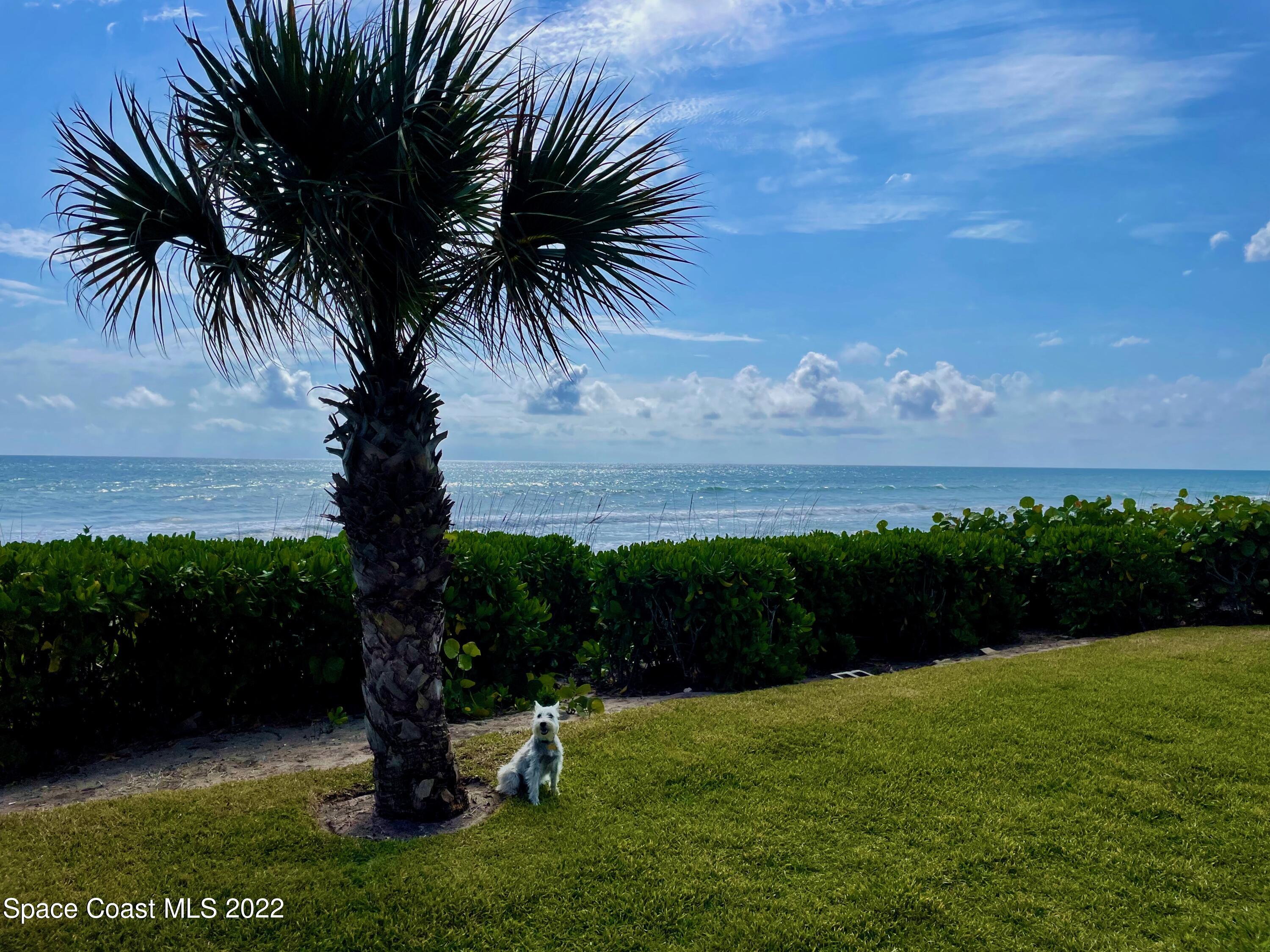 2705 S Highway A1a
