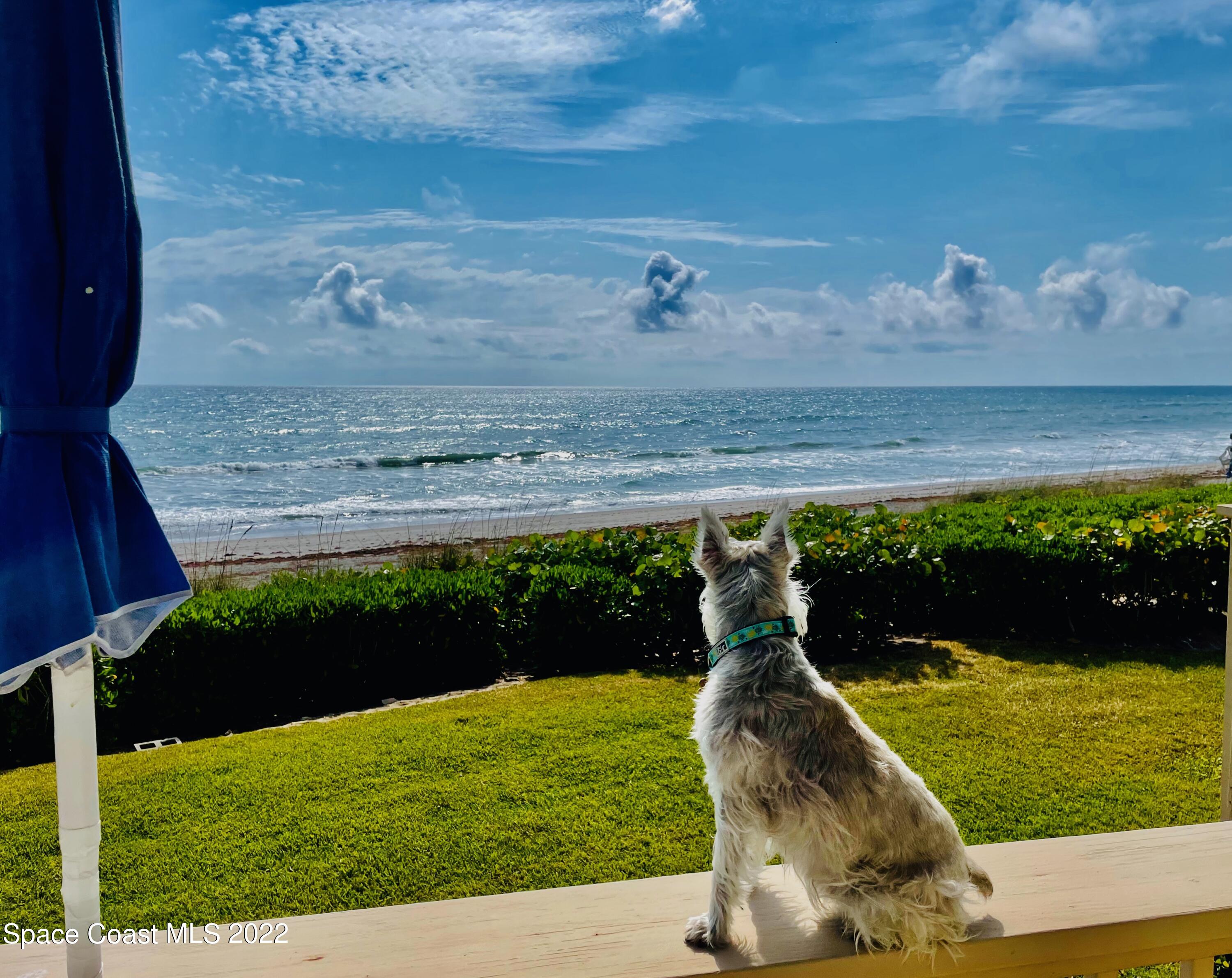 2705 S Highway A1a