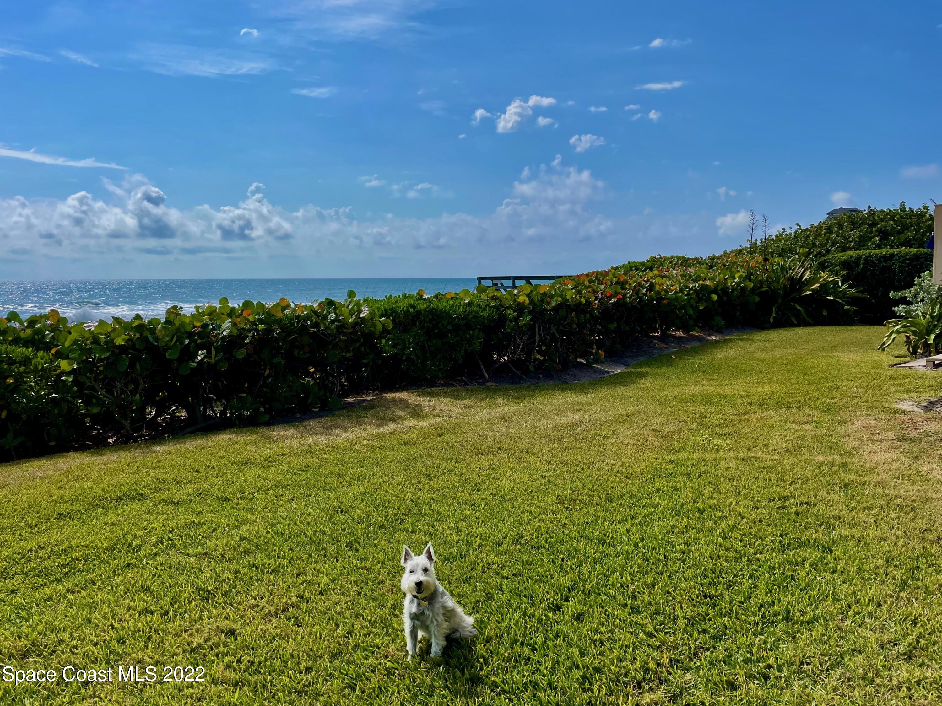 2705 S Highway A1a