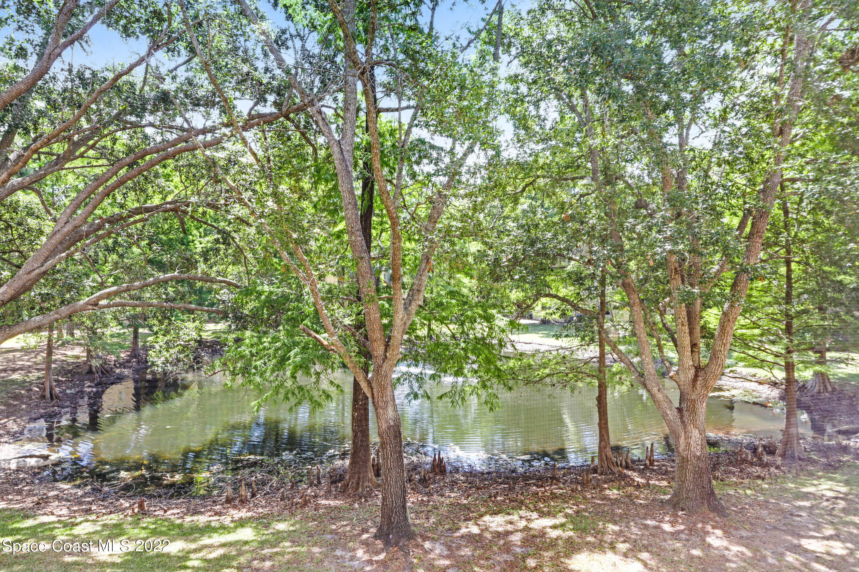 7820 Shadowood Drive, 311