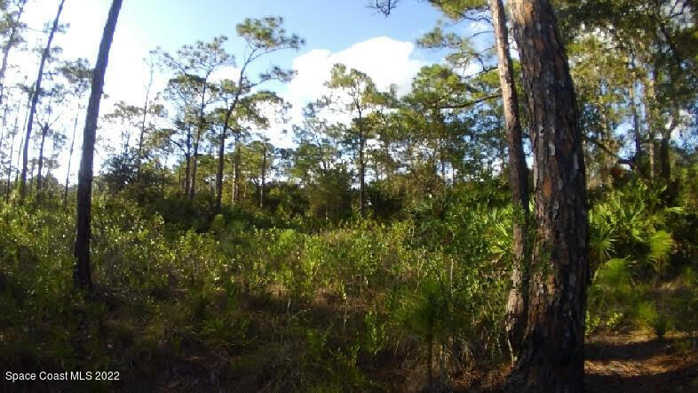 000 Magnolia Road