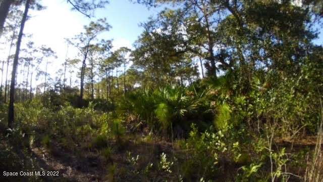 000 Magnolia Road