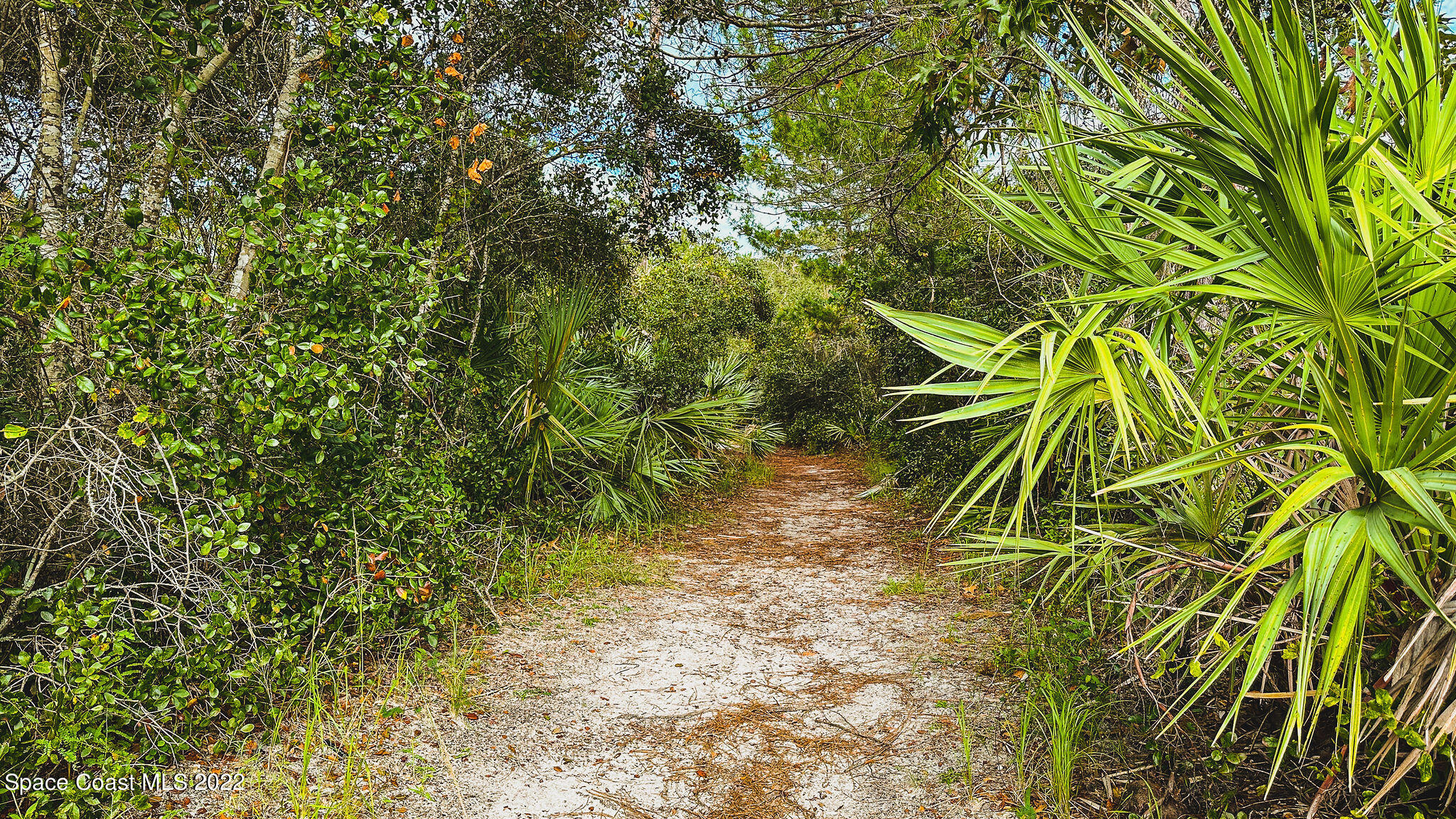 960 Falls Trail