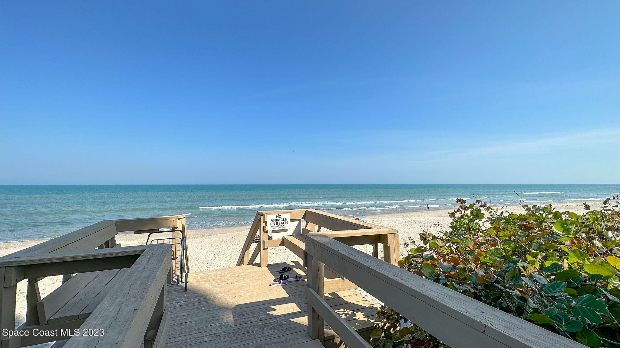 2225 Highway A1a 811