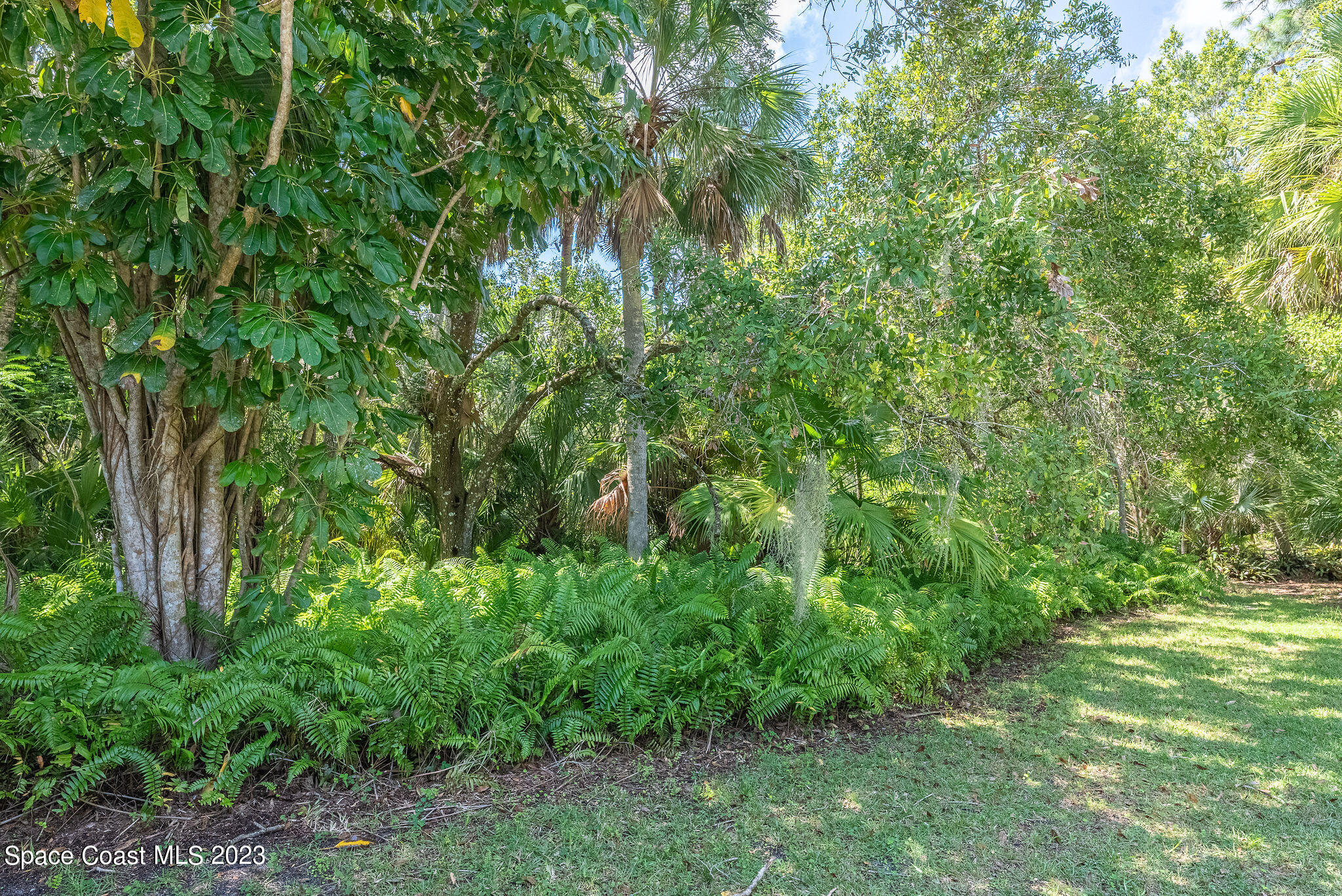 4100 Mustang Road