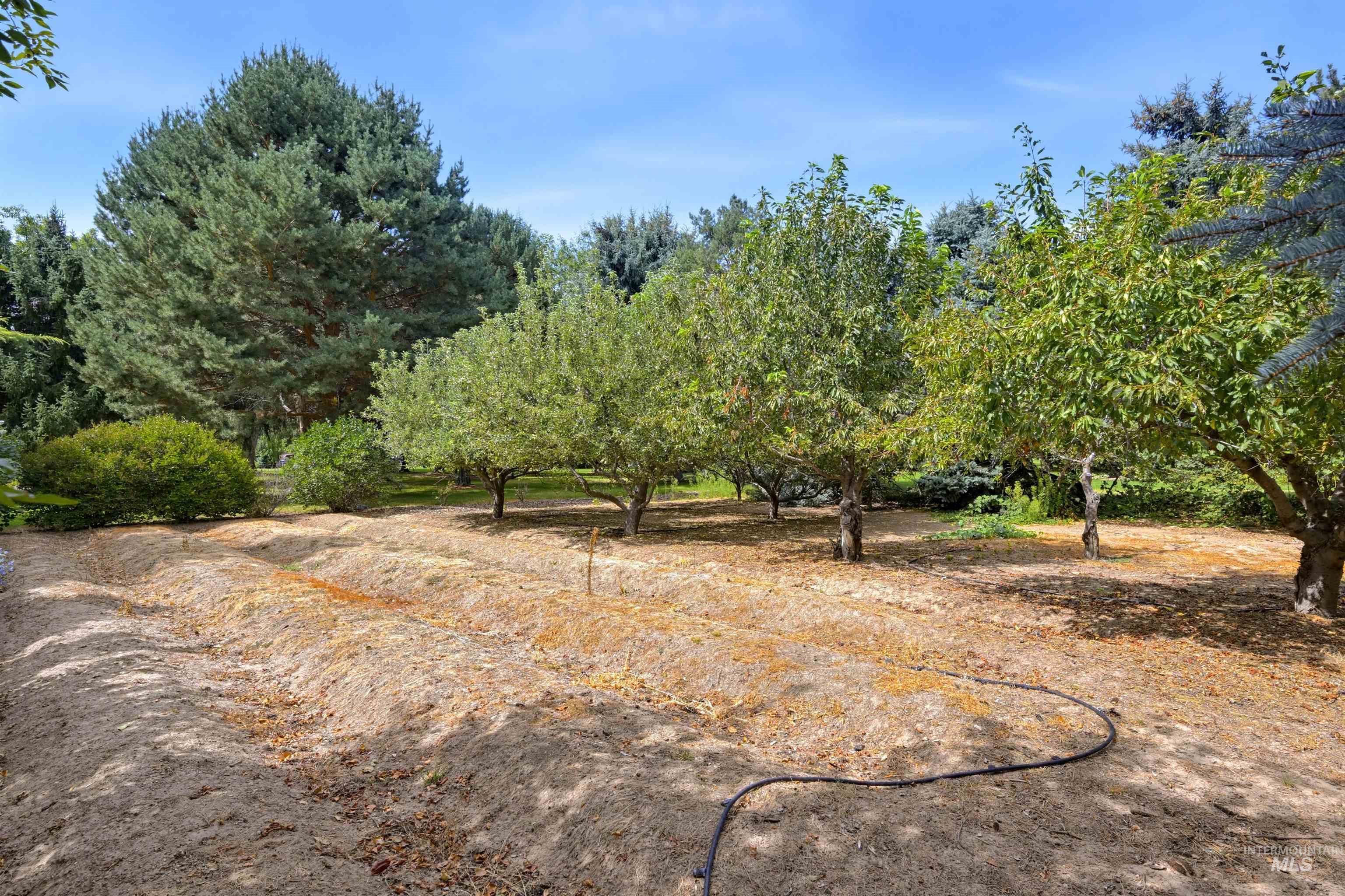 2554 W Sugar Crest Drive