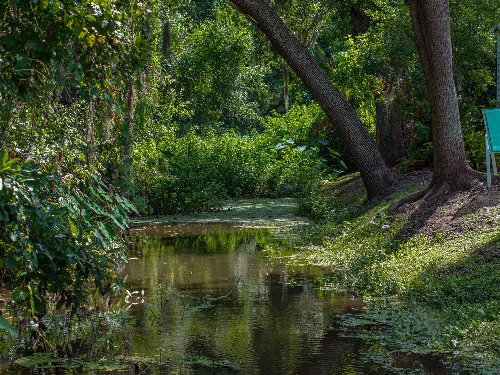 5427 ORANGE VALLEY DR