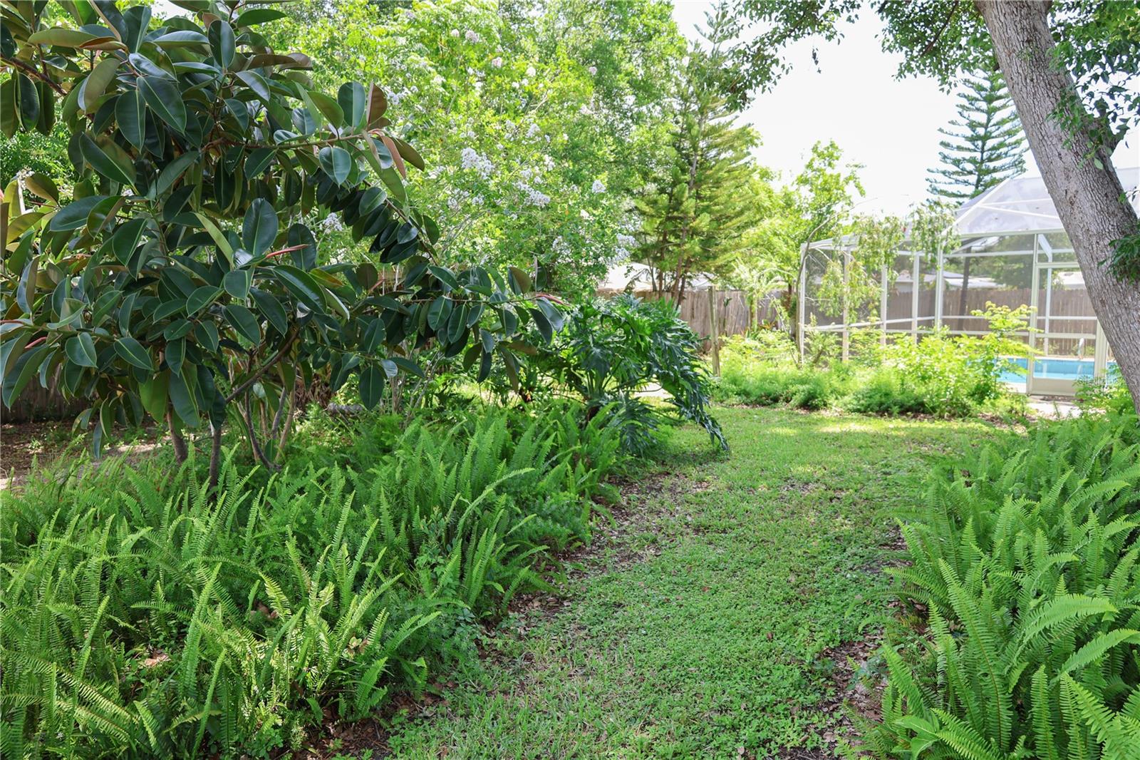 733 OLEANDER DR SE