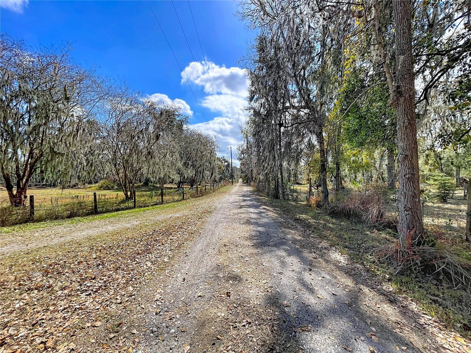15210 ROUGH DIAMOND RANCH RD