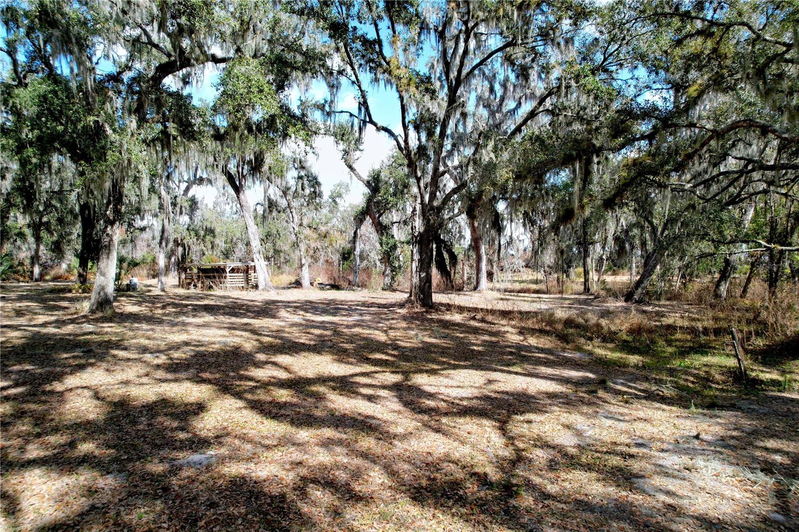 15210 ROUGH DIAMOND RANCH RD