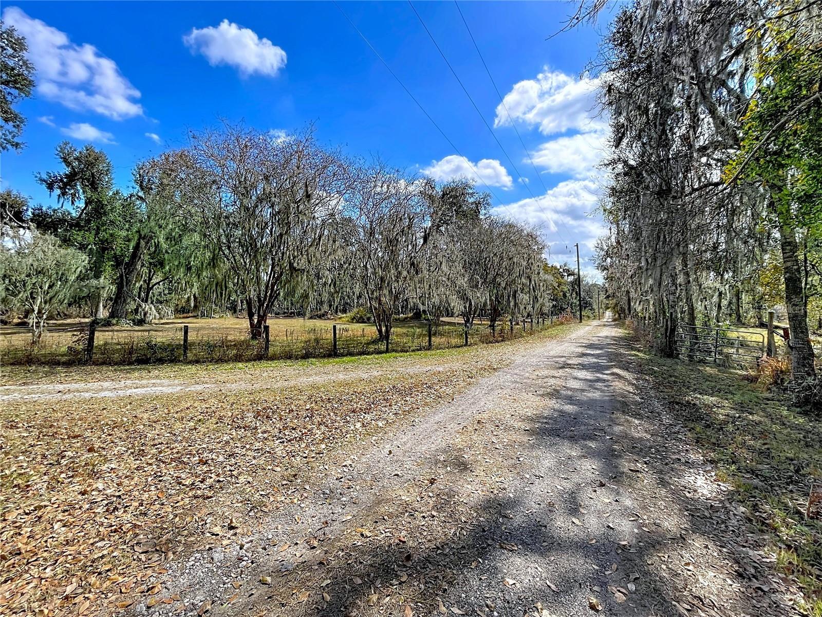 15210 ROUGH DIAMOND RANCH RD