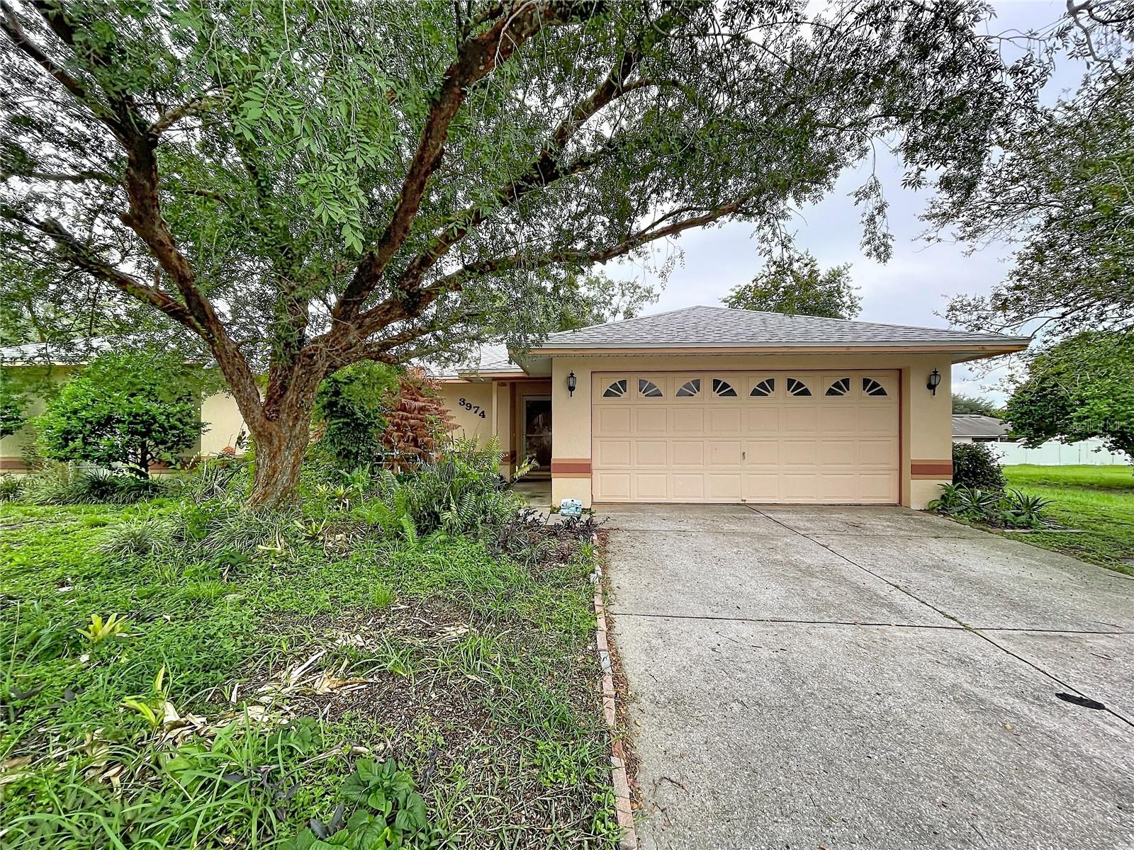 3974 LIME TREE LN