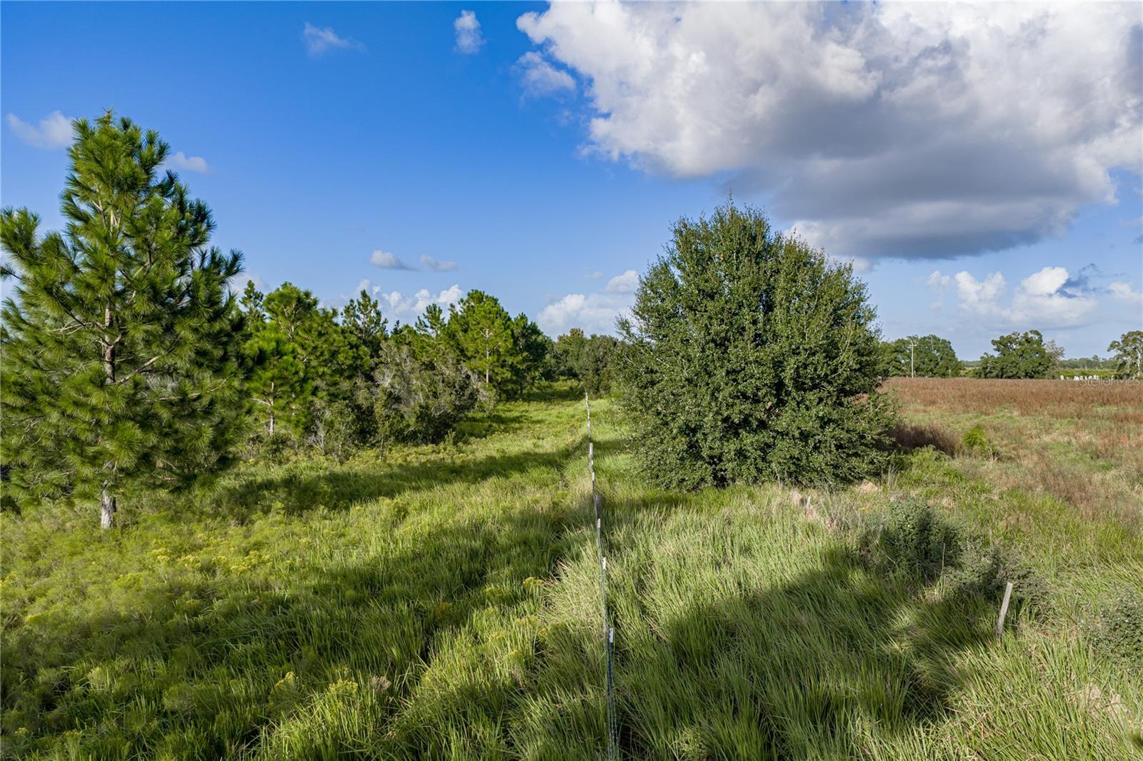 837 CAMPBELL RD