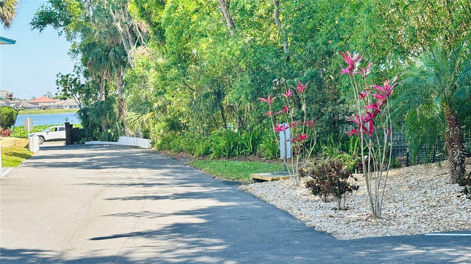 1600 W LAKE PARKER DR #C24