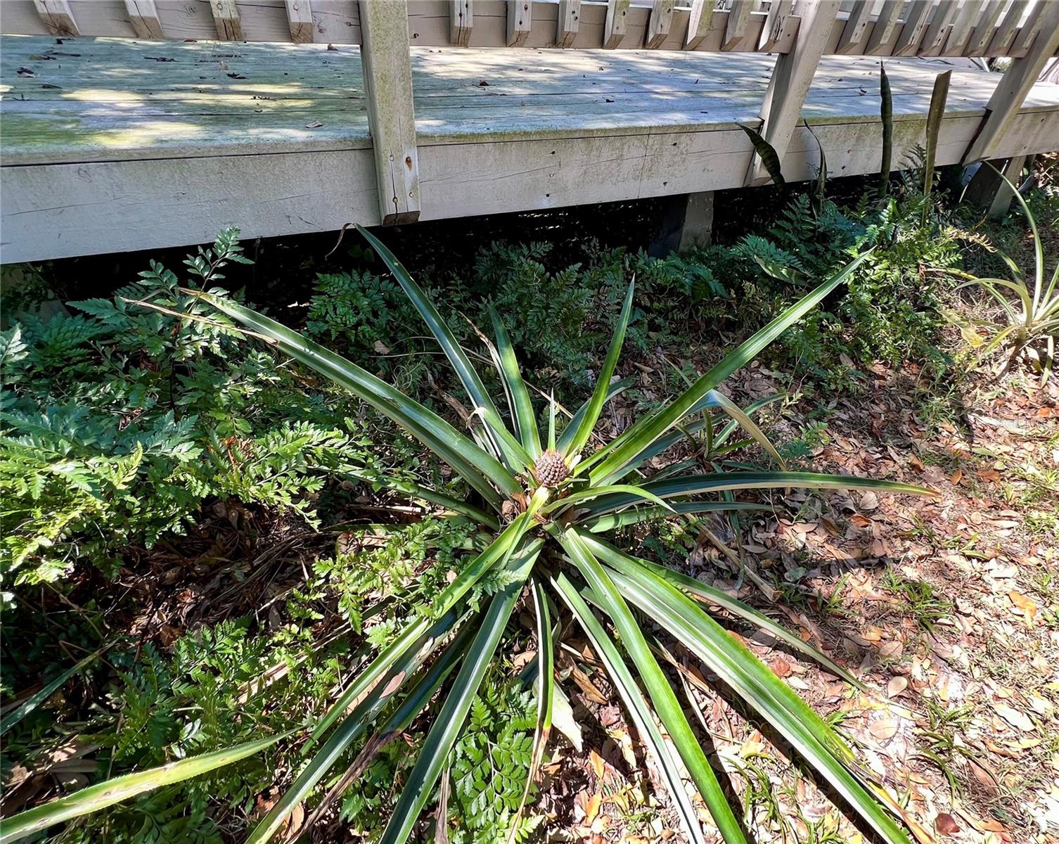 407 PARADISE ISLAND DR