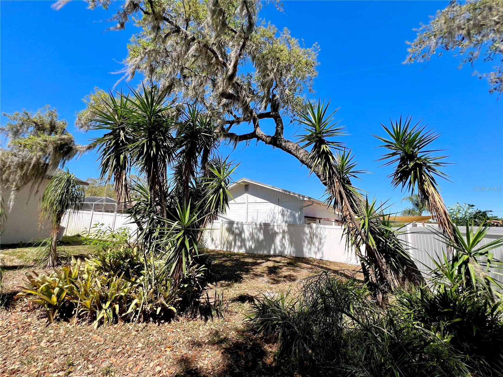 407 PARADISE ISLAND DR