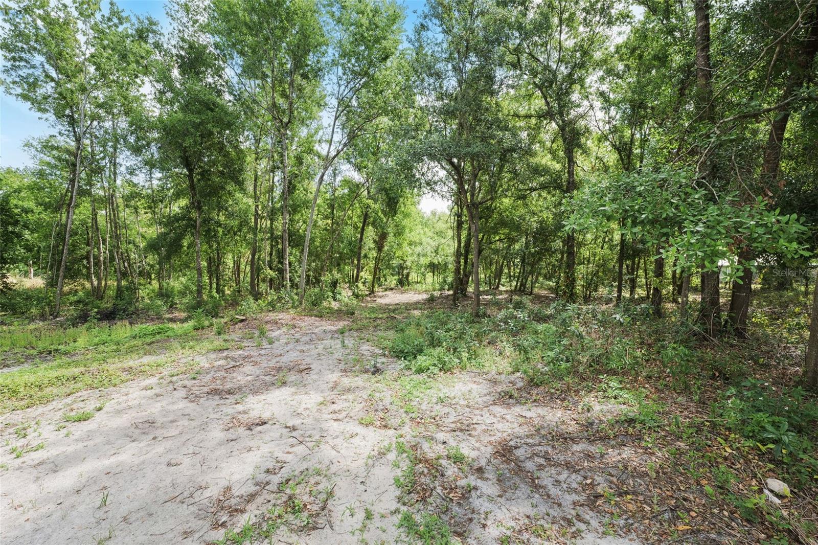 3301 TIMBERWOOD RD