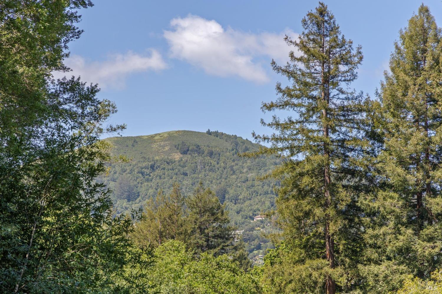 Coveted Winship Park