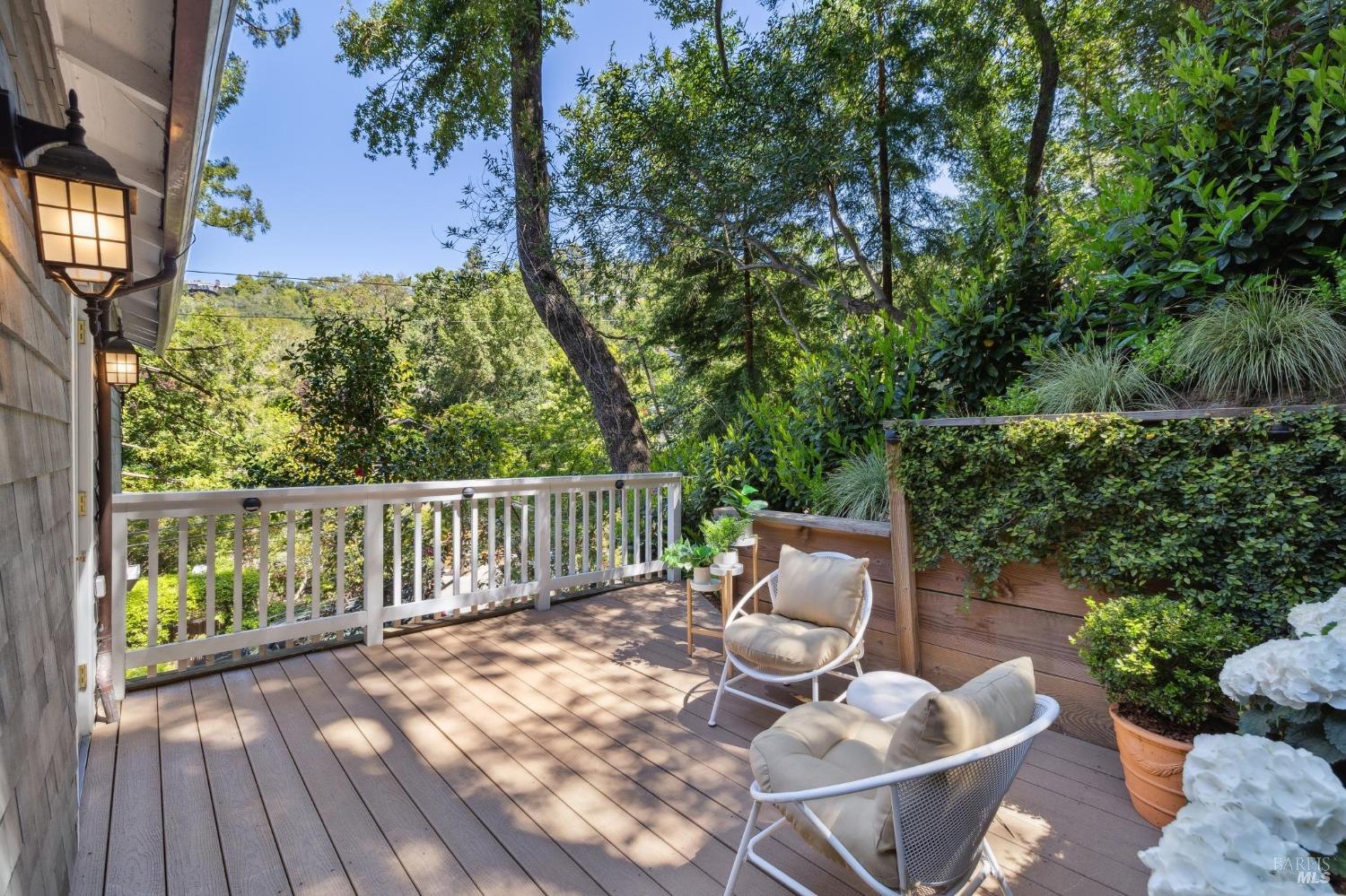 Coveted Winship Park