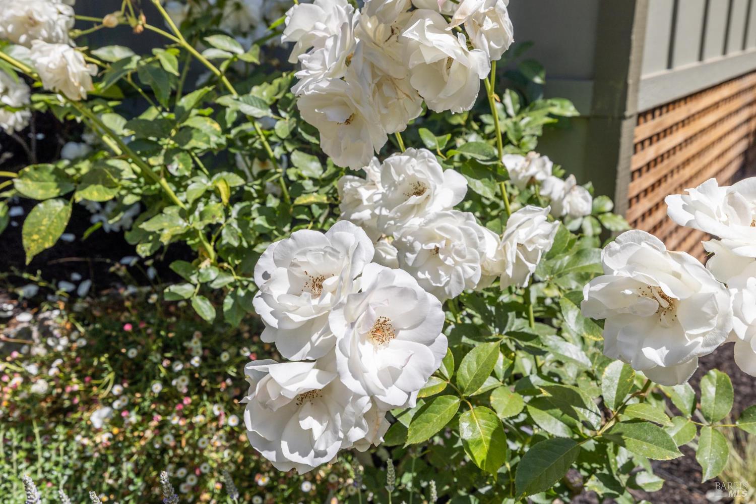 Modern Retreat In Prime Homestead Valley