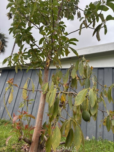 1729 Craigton Avenue