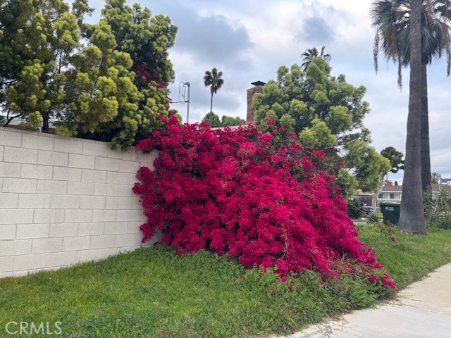 1729 Craigton Avenue