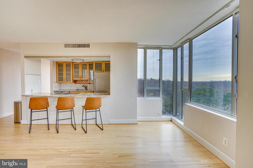 11400 WASHINGTON PLAZA W 1403
