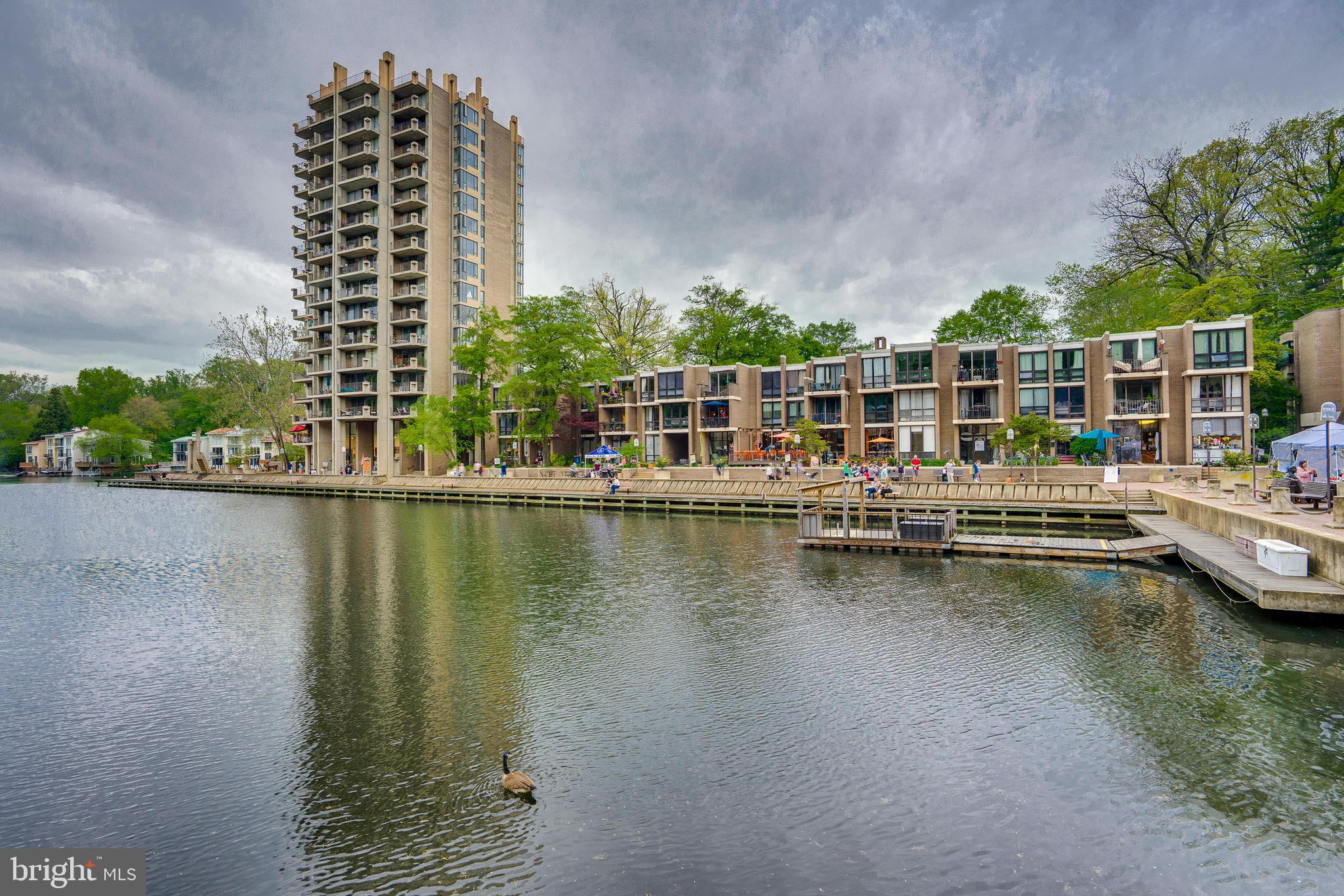 11400 Washington Plaza W #802