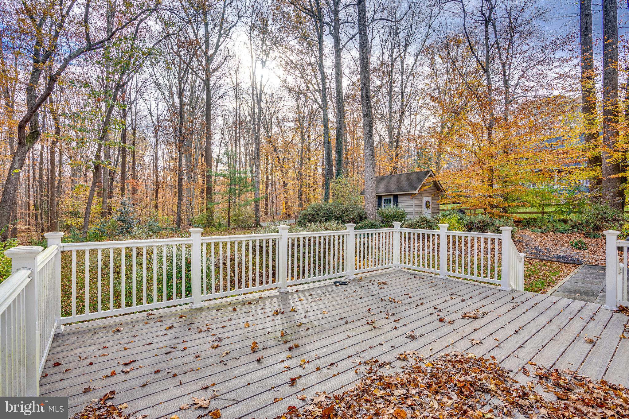 10993 HIGHRIDGE STREET