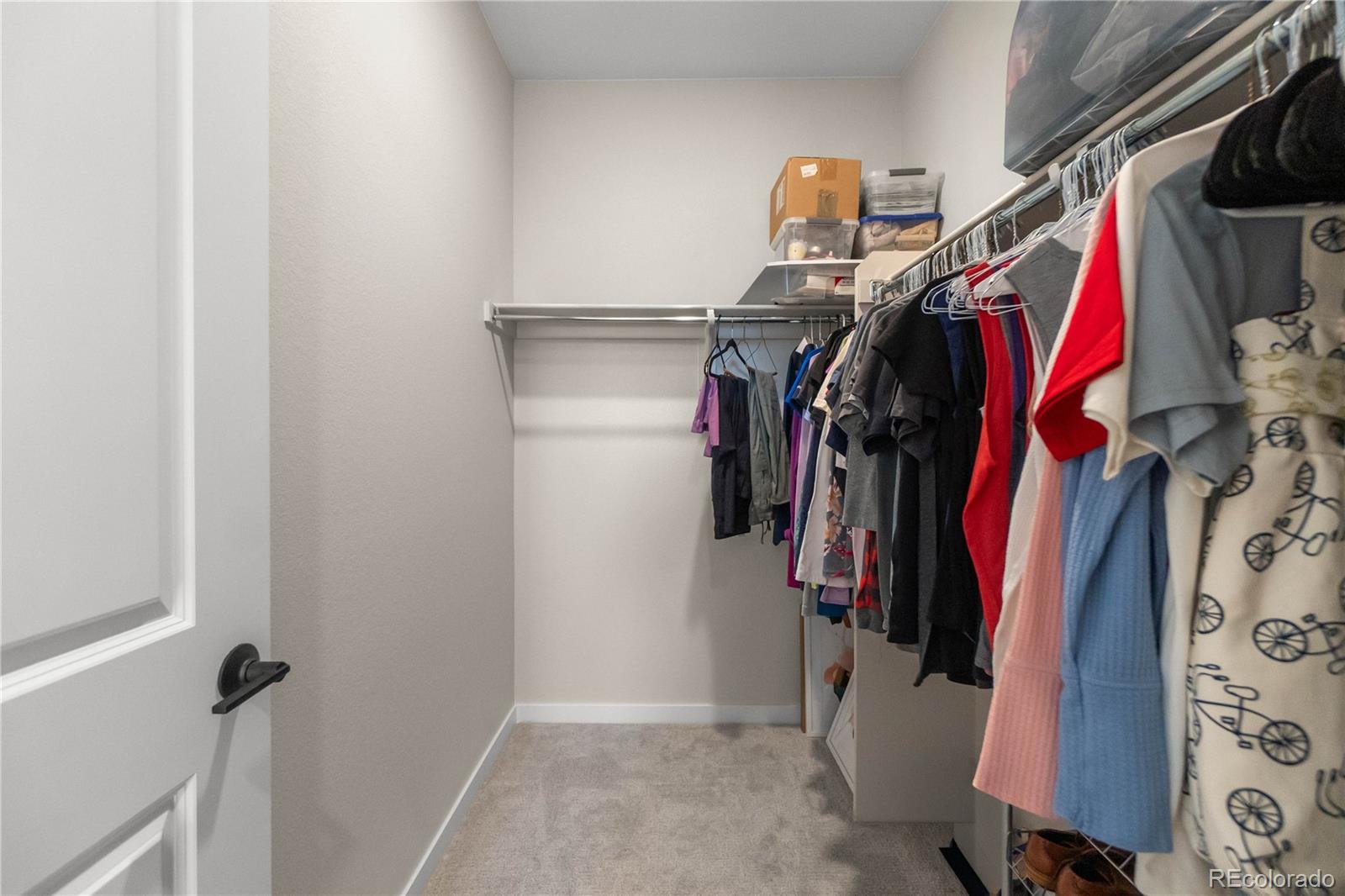 8484 Orchard City Drive