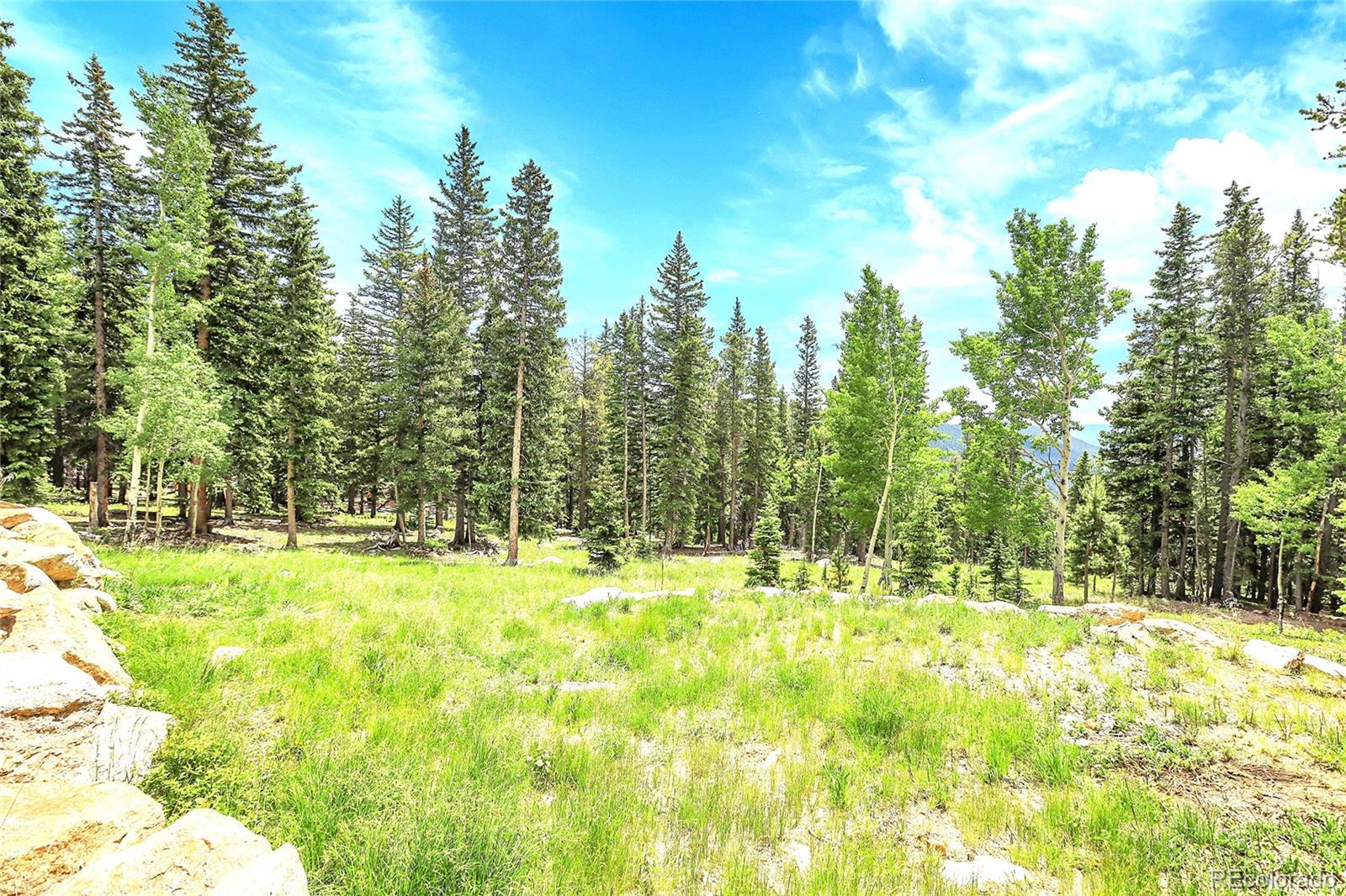 1176 Raven Ridge Road