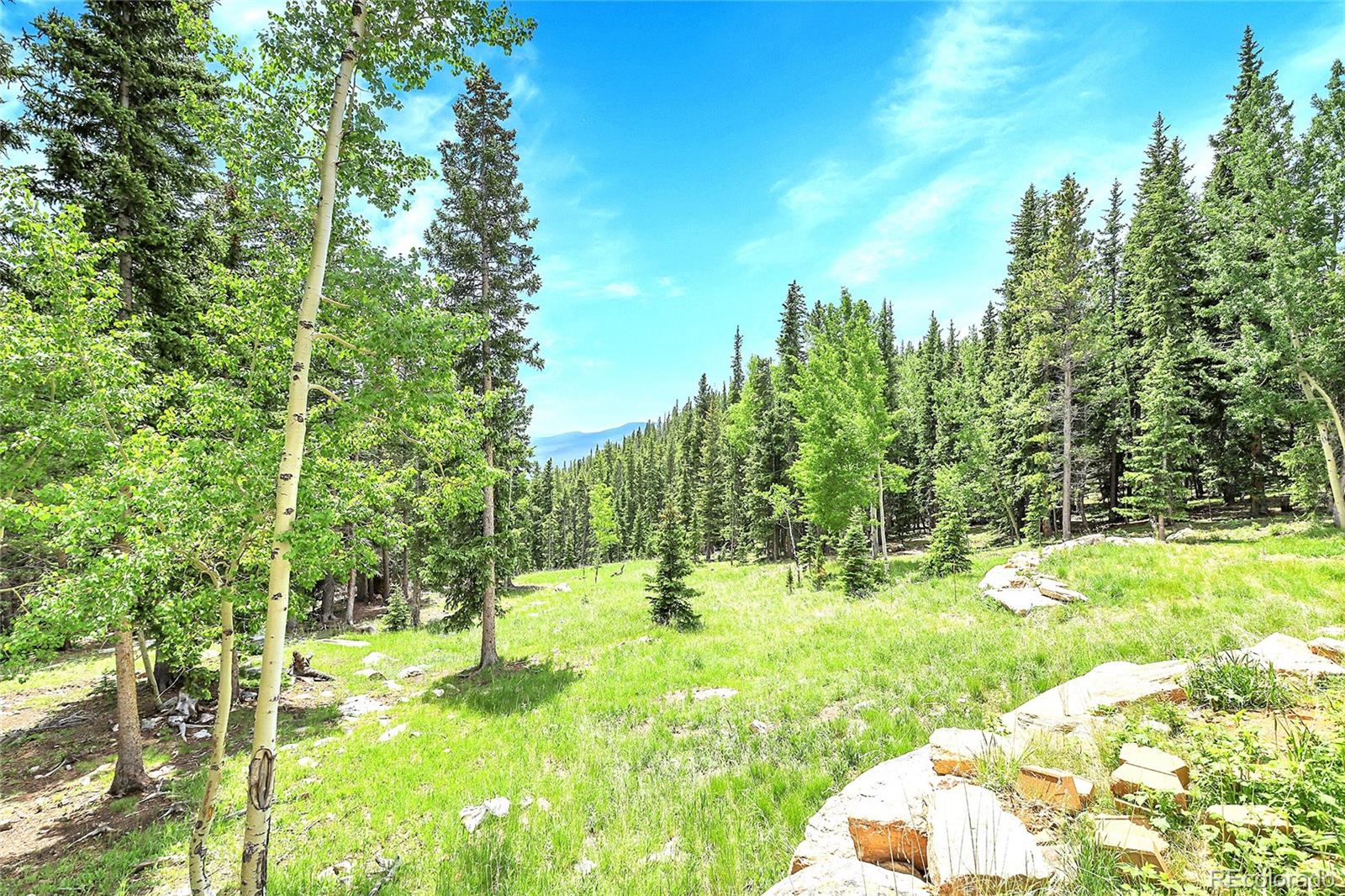 1176 Raven Ridge Road