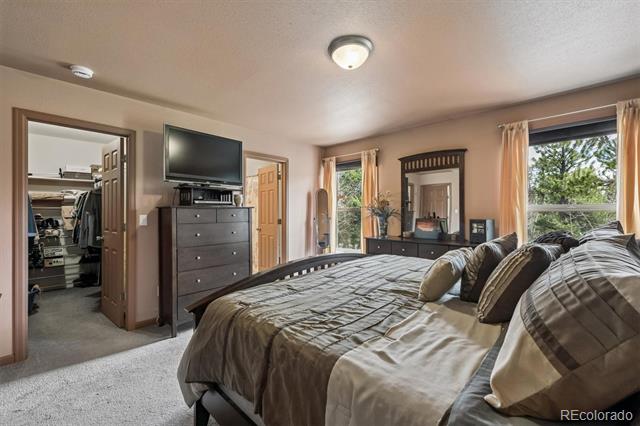 1387 Lodge Pole Drive