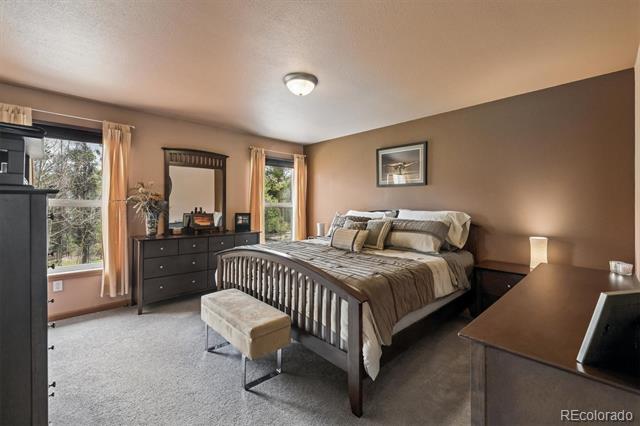 1387 Lodge Pole Drive