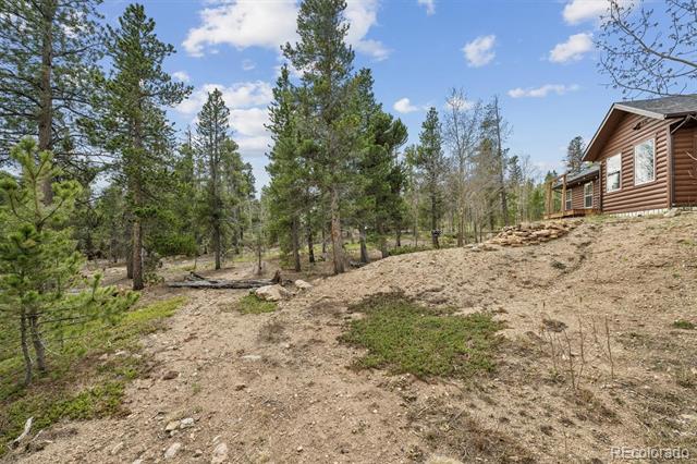 1387 Lodge Pole Drive