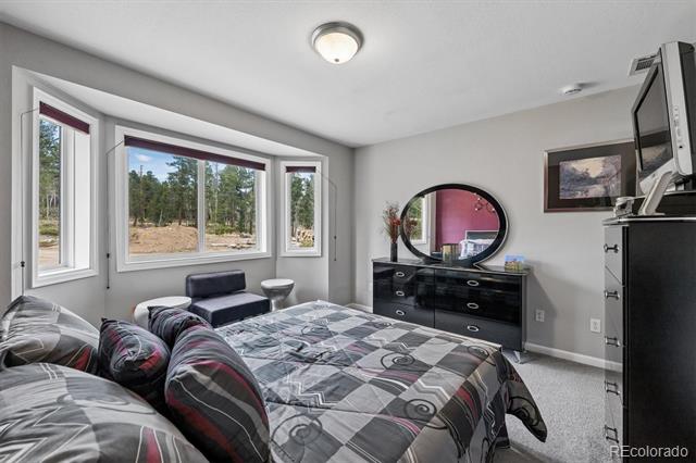 1387 Lodge Pole Drive