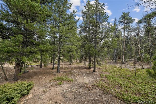 1387 Lodge Pole Drive