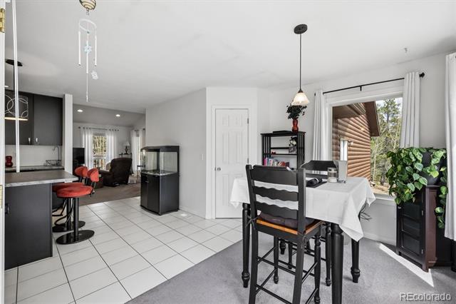 1387 Lodge Pole Drive
