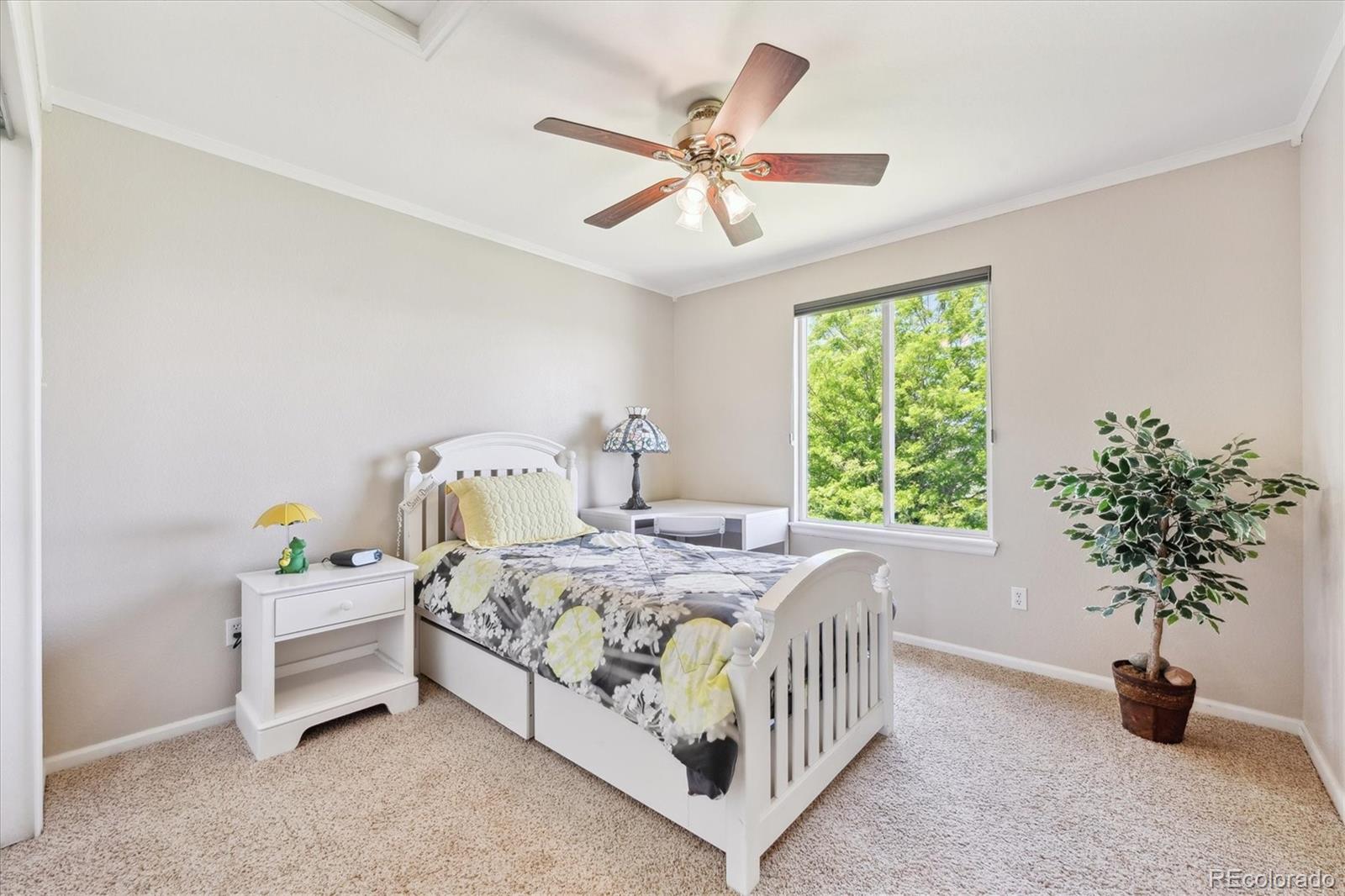 4099 Starflower Road