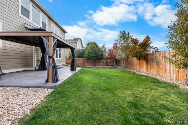 15165 Yellowthroat Street