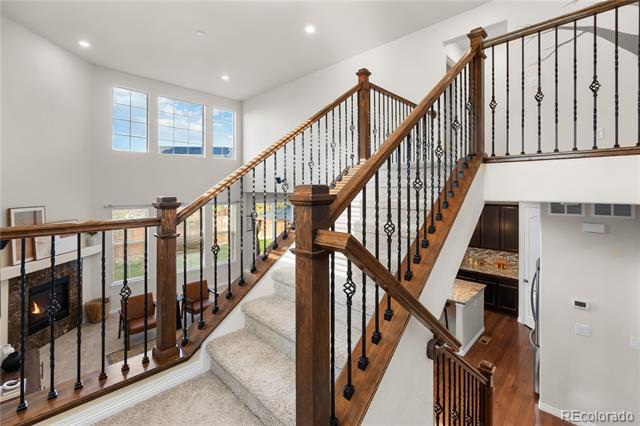 15165 Yellowthroat Street