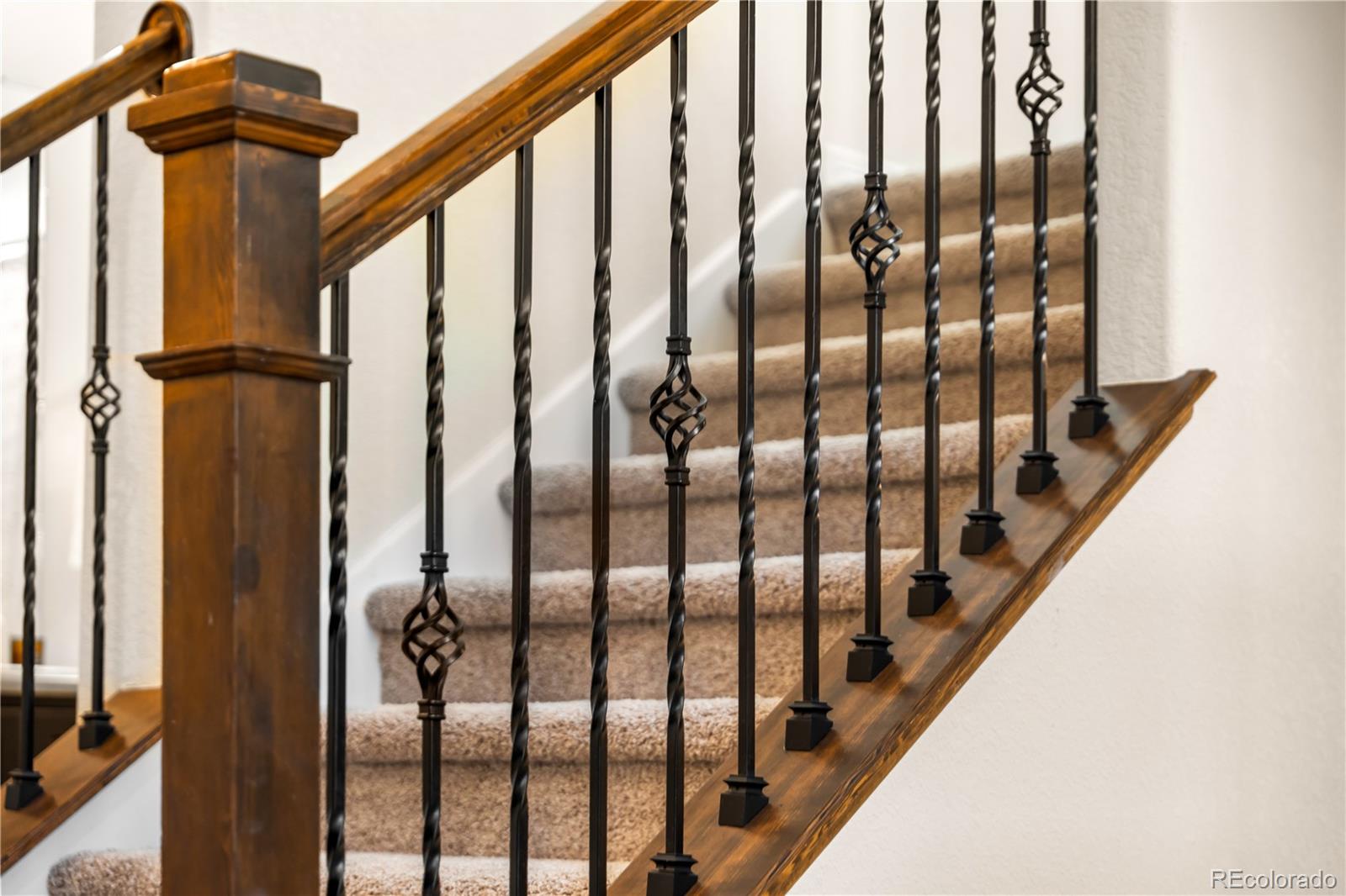 15165 Yellowthroat Street