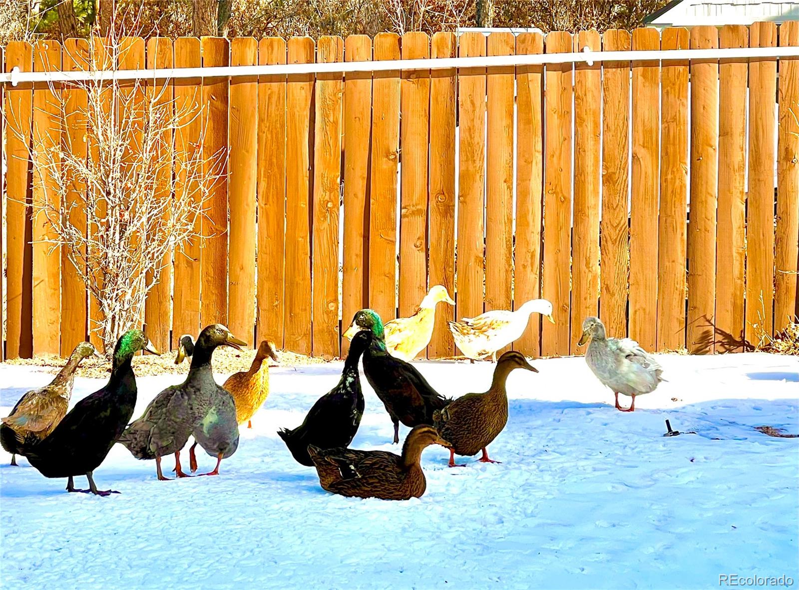 98 Greeley Boulevard